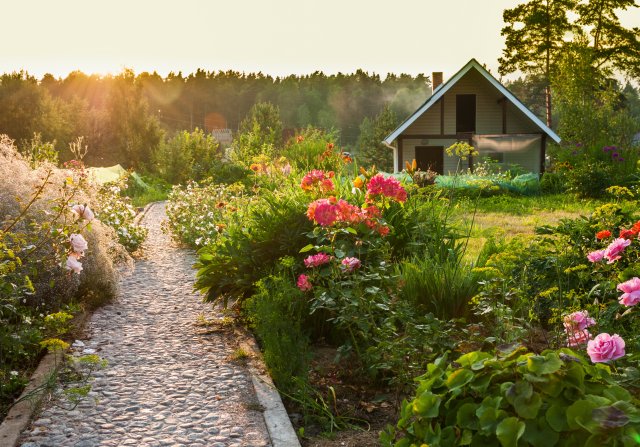 Permakulturní zahrada respektuje přírodní zákony, je ekonomičtější a méně náročná na údržbu. Na tradiční záhony s vypletými řádky a používání chemie u ní však zapomeňte. 
Zdroj: Scorpp, Shutterstock
