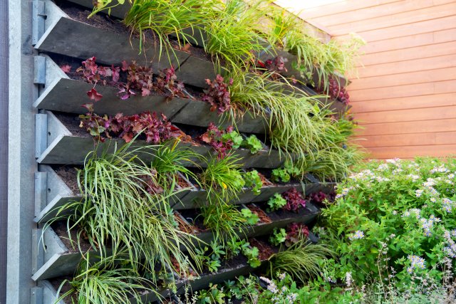 Vertikální zelená stěna  poskytuje skvělou příležitost k zahradničení i těm, kteří nebydlí v rodinném domě. Pěstovat na ní lze dekorativní květiny, bylinky a některé druhy zeleniny (saláty, hrášek, jahodníky). 
Zdroj: René Notenbomer, Shutterstock