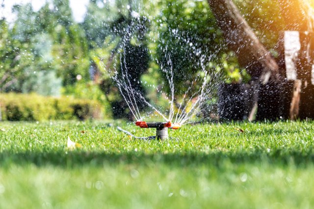 Zahradničení v 21. století je snazší než kdy dříve. Automatické zavlažovací systémy zajistí, aby měly všechny rostliny dostatek vláhy a inteligentní sekačky se postarají o dokonale upravený trávník. 
Zdroj: Gorloff-KV, Shutterstock